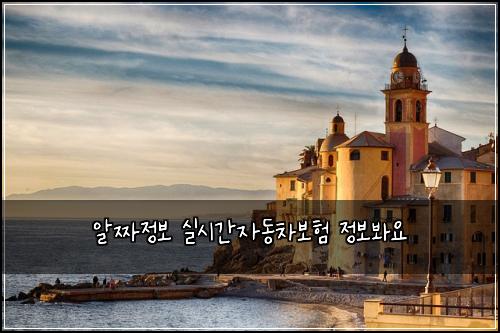알짜정보 실시간자동차보험 정보봐요 