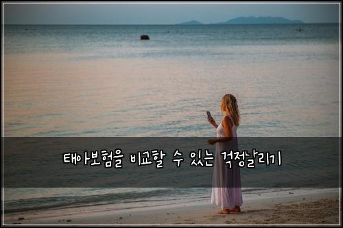 태아보험을 비교할 수 있는 걱정날리기