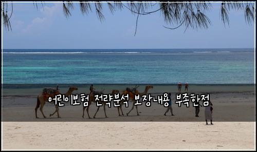 어린이보험 전략분석  보장내용 부족한점