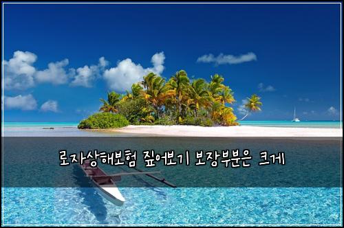 ๋ก์์ํด๋ณดํ ์ง์ด๋ณด๊ธฐ ๋ณด์ฅ๋ถ๋ถ์ ํฌ๊ฒ