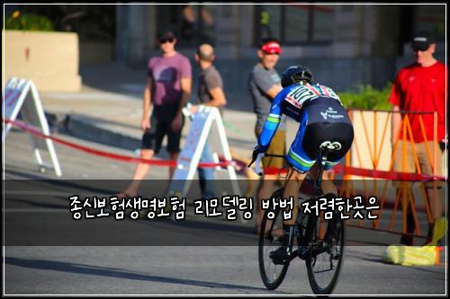 ์ข
์ ๋ณดํ์๋ช
๋ณดํ ๋ฆฌ๋ชจ๋ธ๋ง ๋ฐฉ๋ฒ ์ ๋ ดํ๊ณณ์