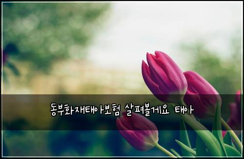 ๋๋ถํ์ฌํ์๋ณดํ ์ดํด๋ณผ๊ฒ์ ํ์