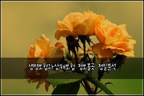 ์๋ช
๋ณดํ๊ณผ์ํด๋ณดํ ์ ๋ณด๋ณผ๊ณณ ์ ๋ฐ๋ถ์