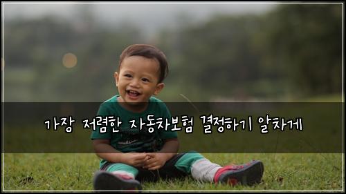 가장 저렴한 자동차보험 결정하기  알차게