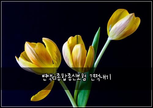 ๋ณ์กci์ข
ํฉ์ข
์ ๋ณดํ ๊ฒฌ์ ๋ด๊ธฐ