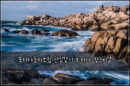 ํฌํฐ์๋์ฐจ๋ณดํ ๊ด์ฌ๊ฐ๊ธฐ ์ต์ ๊ฐ ์ฐพ๋๋น๊ฒฐ