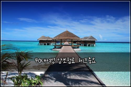 40λμ¬μ± μ보νλ£ μ²΄ν¬μ€μ