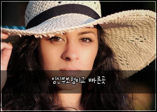 임신부보험비교 빠른곳