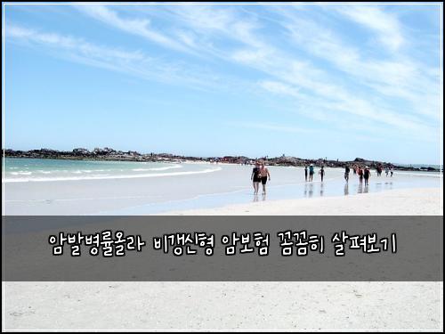 암발병률올라 비갱신형 암보험 꼼꼼히 살펴보기