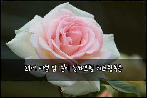 29์ธ ์ฌ์ฑ ์ ์ค๋น ์ํด๋ณดํ ์ฒดํฌํญ๋ชฉ์