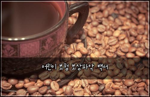 ์ด๋ฆฐ์ด ๋ณดํ ๋ณด์ํ์
๋ฐฑ์
