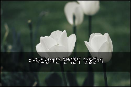 자차보험계산 완벽분석 맞춤설계