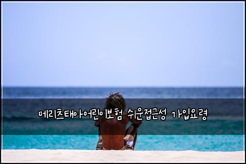 메리츠태아어린이보험 쉬운접근성  가입요령