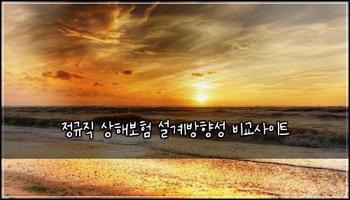 정규직 상해보험 설계방향성  비교사이트