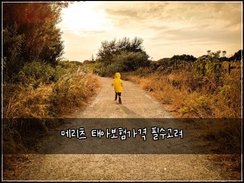 메리츠 태아보험가격 필수고려