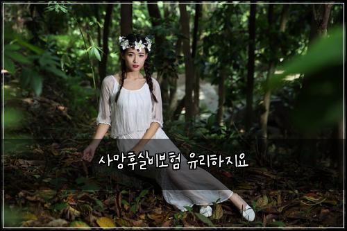 ์ฌ๋งํ์ค๋น๋ณดํ ์ ๋ฆฌํ์ง์