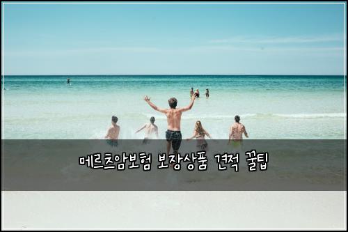 메르츠암보험 보장상품  견적 꿀팁