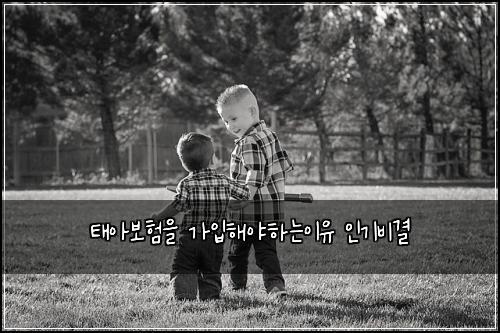 ํ์๋ณดํ์ ๊ฐ์
ํด์ผํ๋์ด์ ์ธ๊ธฐ๋น๊ฒฐ