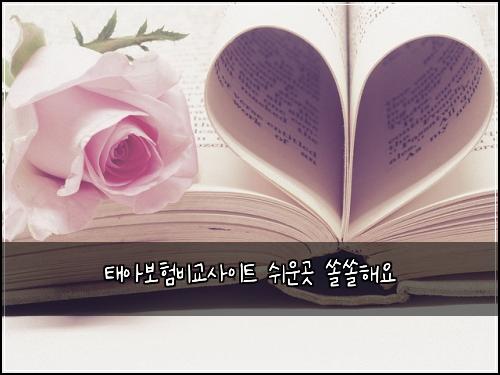 태아보험비교사이트 쉬운곳 쏠쏠해요