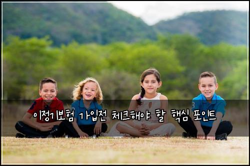 이정기보험 가입전 체크해야 할 핵심 포인트