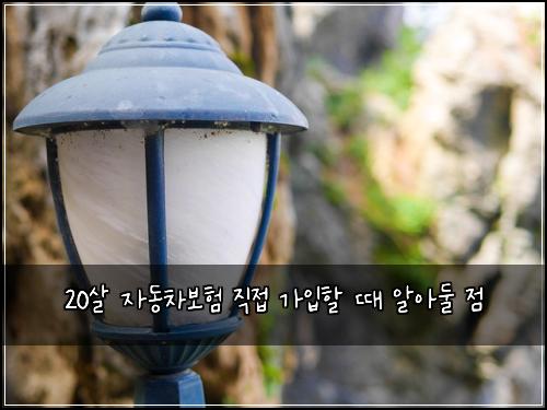 20살 자동차보험 직접 가입할 때 알아둘 점