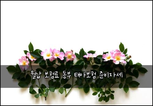 월납 보험료 동부 태아보험 준비자세