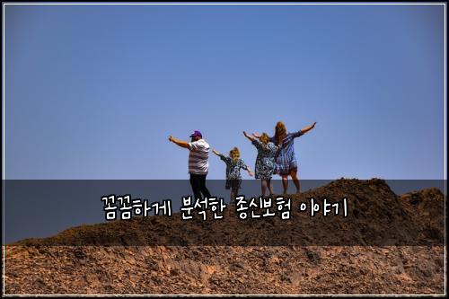 꼼꼼하게 분석한 종신보험 이야기
