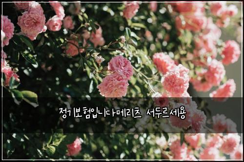 정기보험입니다메리츠 서두르세용