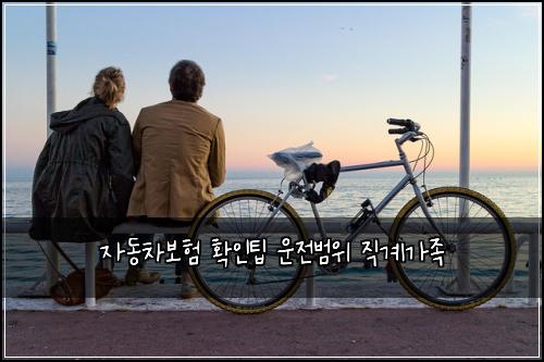 자동차보험 확인팁  운전범위 직계가족