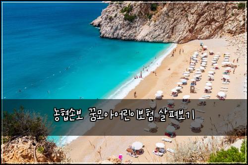 농협손보 꿈모아어린이보험 살펴보기