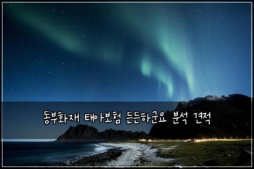 동부화재 태아보험 든든하군요  분석 견적