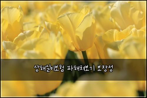 ์ํด์ค๋น๋ณดํ ํํด์ณ๋ณด๊ธฐ ๋ณด์ฅ์ฑ