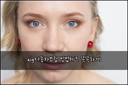 aig자동차보험 방법체크  똑똑하게
