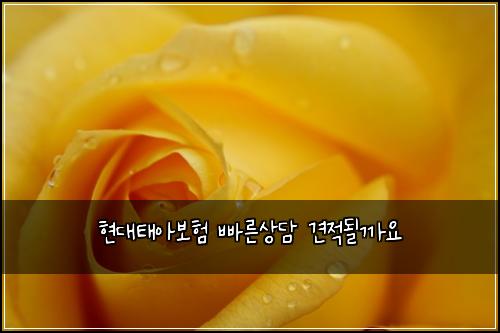 현대태아보험 빠른상담  견적될까요