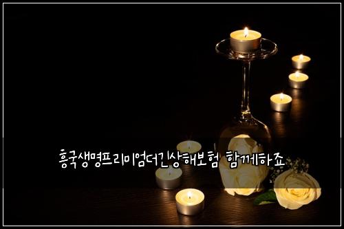 흥국생명프리미엄더긴상해보험 함께하죠 