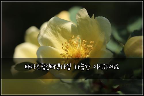ํ์๋ณดํ์ธํฐ๋ท๊ฐ์
๊ฐ๋ฅํ ๋ฏธ๋ฆฌํ์ธ์