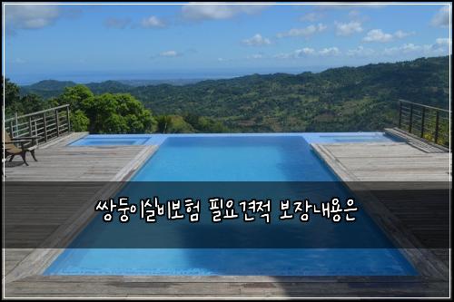 쌍둥이실비보험 필요견적  보장내용은