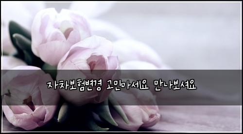 자차보험변경 고민마세요 만나보셔요