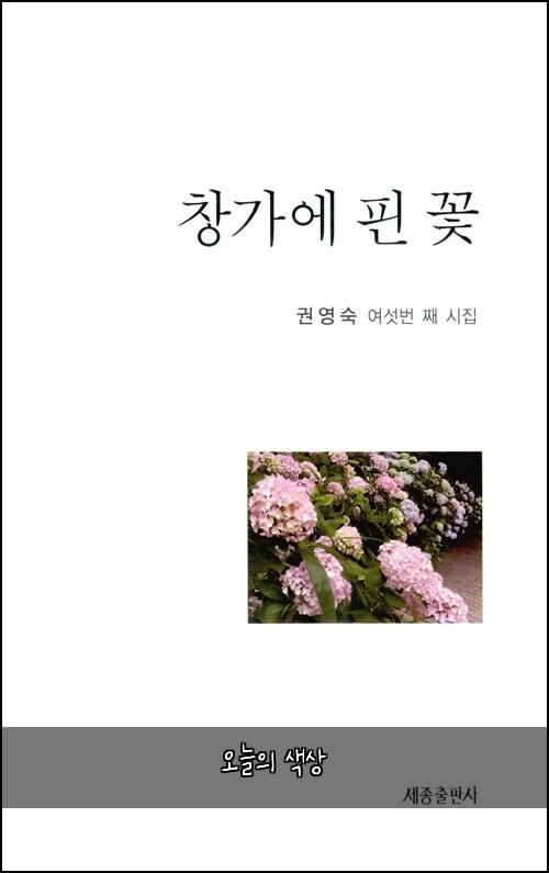 오늘의 색상