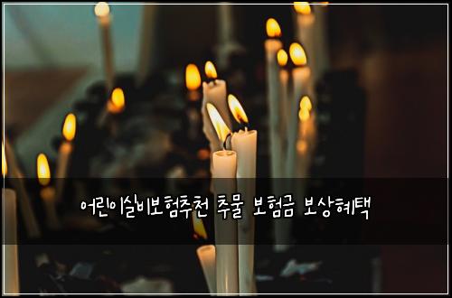 ์ด๋ฆฐ์ด์ค๋น๋ณดํ์ถ์ฒ ์ถ๋ฌผ ๋ณดํ๊ธ ๋ณด์ํํ