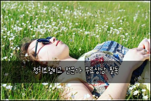 정기보험비교 전문가 무료상담 필독