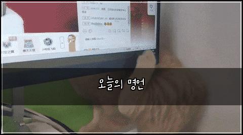오늘의 명언