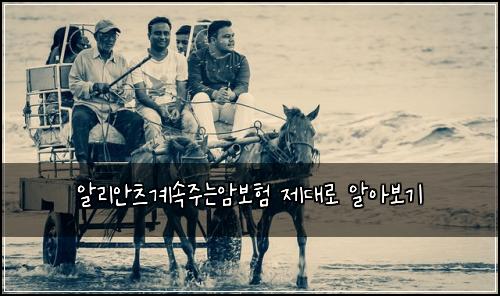 알리안츠계속주는암보험 제대로 알아보기