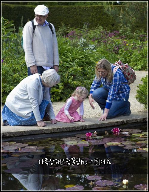 가족상해보험꿀팁tip 기회에요