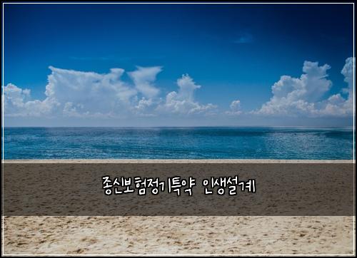 종신보험정기특약 인생설계
