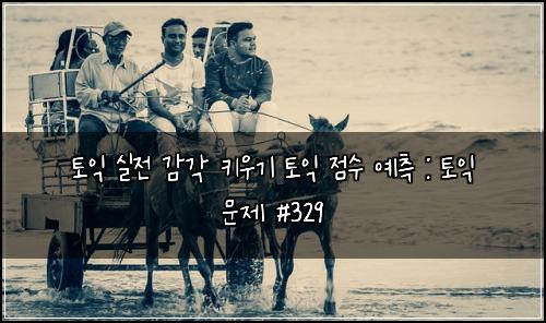 토익 실전 감각 키우기 토익 점수 예측 : 토익 문제 #329
