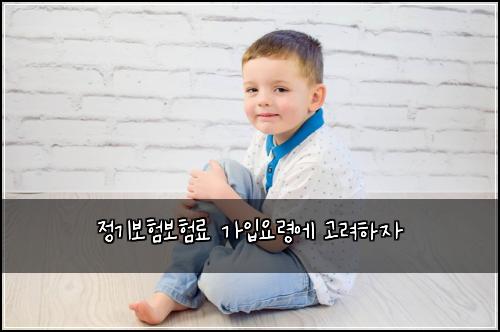 정기보험보험료 가입요령에 고려하자
