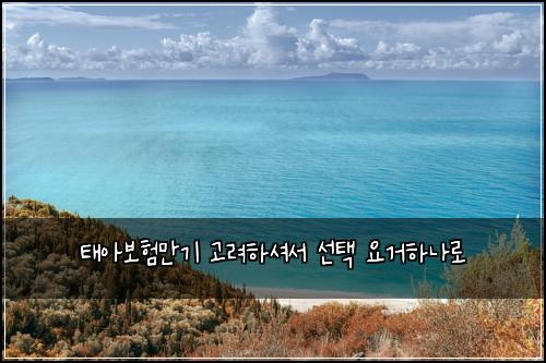 태아보험만기 고려하셔서 선택 요거하나로