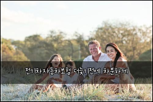 ์ ๊ธฐ์ฐจ์๋์ฐจ๋ณดํ ๋๋ฆ๊ธฐ์ ์ ์ฐจ๋ถํ๊ฒ