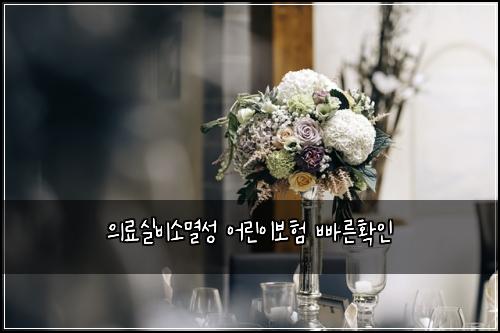 ์๋ฃ์ค๋น์๋ฉธ์ฑ ์ด๋ฆฐ์ด๋ณดํ ๋น ๋ฅธํ์ธ